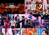 '전국1등' 진주·논산·홍성 딸기 전쟁