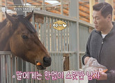 '이웃집 백만장자' 김기영 대표의 승마장 사랑