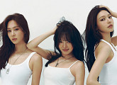 효리수 '스키비디', 유튜브 차트 정복