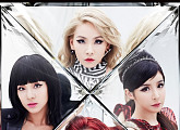 YG엔터 "2NE1 공민지 탈퇴, 추가 영입 없이 3명으로 활동"