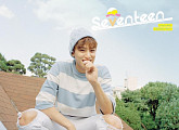 세븐틴 민규, 허리 부상으로 日 콘서트 일부 불참