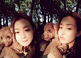 강소라, 반려견과 함께 사진 찍기 힘들다