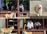 '삼시세끼-고창편' 4인방, 유해진 반려견 겨울이 애교에 무장해제