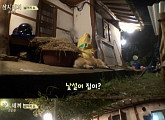 '삼시세끼' 겨울이, 유해진 향한 무한애정 "아빠랑 같이 있는 게 좋아"