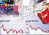 월트디즈니式으로 한류 영토 넓히는 CJ E&M·CGV