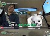 '택시' 강형욱, "바쁜 사람, 독거人, 혼자 두는 사람은 반려견 키우면 안돼"