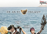 '막돼먹은 영애씨 시즌 15', '삼시세끼'와 콜라보? 깜짝 패러디 공개