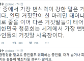 이외수 "대한민국 청문회, 세계서 가장 뻔뻔한 증인들의 거짓말 사육장"