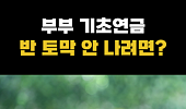 [숏] 부부가 같이 기초연금 받을 때, 주의사항 3가지