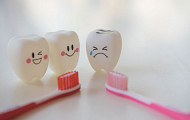 장수시대에 치아관리가 중요하다