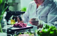 실험실서 키운 고기 ‘배양육’ 미래 시니어 먹거리 될까?