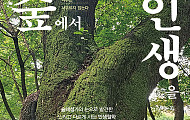 전직 방송기자가 말하는, “숲에서 배우는 인생”