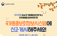 추석 연휴 멍냥이도 안전! 유실·유기동물 구조·진료 서비스