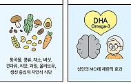 [만화로 보는 시니어 뉴스] “두뇌도 식습관이 좌우한다”…인지 건강 위한 식단