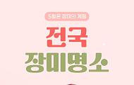 [카드뉴스] 가족 나들이 실패 없는 '전국 장미 스팟' 6