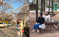 65세 이상 50만 고령가구, 반려동물과 산다