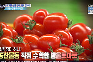 '6시내고향 상생장터', 충남 서천수산물특화시장 방울토마토ㆍ박대ㆍ주꾸미 홍보 "함께 삽시다"