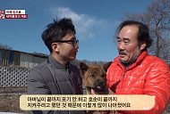 한재웅 수의사, 동물농장 호순이에게 새 삶 선사