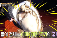 벚굴ㆍ문어ㆍ전복 '자연산 모둠' 서비스…영덕 대게 횟집 청년 머구리 서민갑부의 연매출 6억 비법