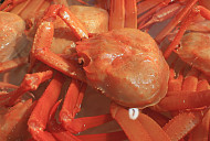 EBS '한국기행' 홍게 철 맞은 강릉ㆍ주문진 어민수산시장, 가을의 맛 만나다