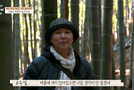 고두심, 부산 기장 대변항 해녀 밥상 성게 전복죽ㆍ멸치 한 상ㆍ짚불 곰장어 먹방 '기장 3미'…아홉산 숲 절경 감상(고두심이 좋아서)