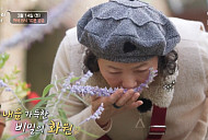 평창 청년 간장게장 맛집ㆍ메밀 음식 식당ㆍ진부전통시장ㆍ봉평 허브농원, 봄 맞이 여행 떠난다(고두심이 좋아서)