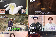 '동물은 훌륭하다' 김효진 훈련사, 입질 하는 반려견 솔루션 "효진 매직"