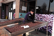 '극한직업' 을왕리 초콜릿 퐁듀 & 강원도 고성 다크 초콜릿 카페→꽃시장 작업자들의 고군분투