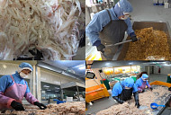 '극한직업' 강경 젓갈 백반ㆍ여수 갓김치ㆍ태안 꽃 축제 등 봄 맞이하는 사람들