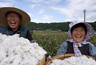 '한국기행' 함양 목화 솜이불 대가