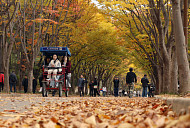 [오늘 날씨] 서울, 첫 한파특보…출근길 영하권 추위