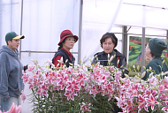 '같이삽시다' 아산 식물원·글램핑·온천 워터파크 힐링