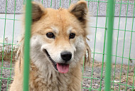 'TV동물농장' 버스 정류장 럭키