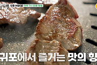 '백반기행' 서귀포 흑우 식당·부채새우 홀릭