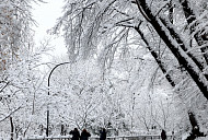 [오늘 날씨] 전국 눈폭탄 비상…주말 최대 20cm 폭설