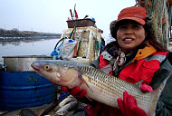 '한국기행' 김포 전류리 여성 어부의 가족 사랑