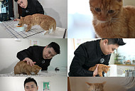 'TV동물농장' 권성준 셰프, 냥발장 노래 위한 고양이 오마카세 완성
