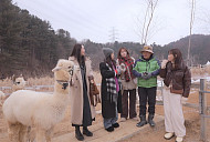 '같이삽시다' 가평 프랑스 가정식 레스토랑·일본 료칸 감성 숙소 출격