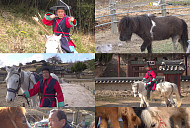 'TV 동물농장' 경주 양동마을 말 카이