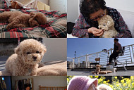 'TV동물농장' 이장원·배다해, 가짜 AI 동물 대결