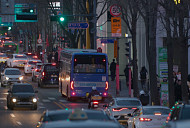 '개는 훌륭하다' 결방 '다큐 3일' 컴백 '다시 달리는 273번'