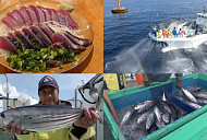 '극한직업' 일본 가고시마 가쓰오부시 작업 현장