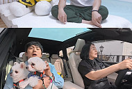 '나 혼자 산다' 기안84, 강아지 유치원 등교…귤밭 돌담 쌓기 노동