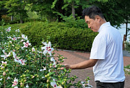'한국기행' 안동국시·안동무궁화·포도밭, 안동의 유산 만난다