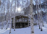 [주말에 어디갈래?] 눈 덮인 자작나무 숲, 아직도 뭉클한 공유의 눈물