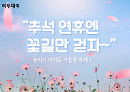 [카드뉴스 팡팡] “추석 연휴엔 꽃길만 걷자~”