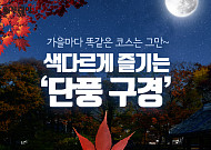 [카드뉴스 팡팡] 가을마다 똑같은 코스는 그만~ 색다르게 즐기는 ‘단풍 구경’