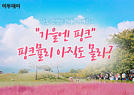 [카드뉴스 팡팡] "가을엔 핑크" 핑크뮬리 아직도 몰라?