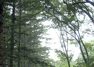 [주말에 어디갈래] ‘가정의 달’ 나들이 장소 6곳...어딜 가든 '웃음꽃'