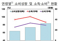 젊어 100만원 벌다 노년에 78만원 버는 일본 노인 ‘소비 주도’ 한국은?